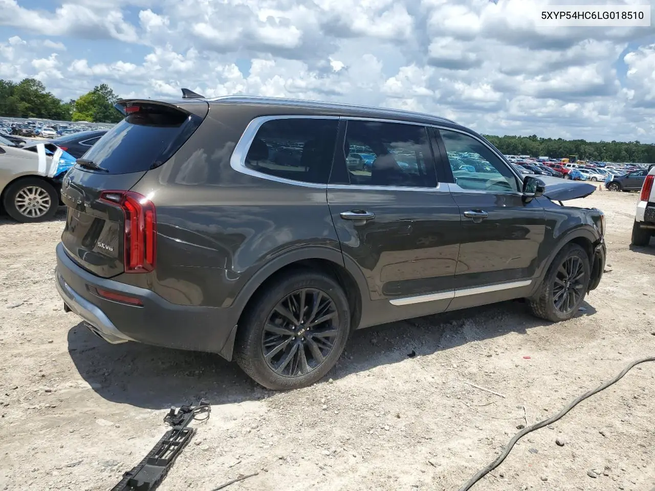 2020 Kia Telluride Sx VIN: 5XYP54HC6LG018510 Lot: 62819295