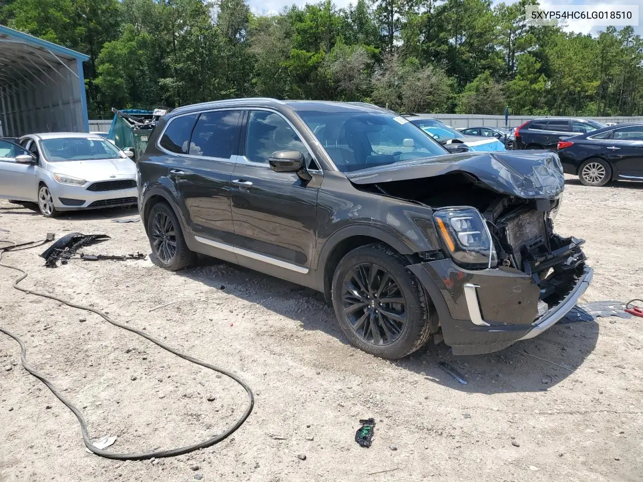 2020 Kia Telluride Sx VIN: 5XYP54HC6LG018510 Lot: 62819295