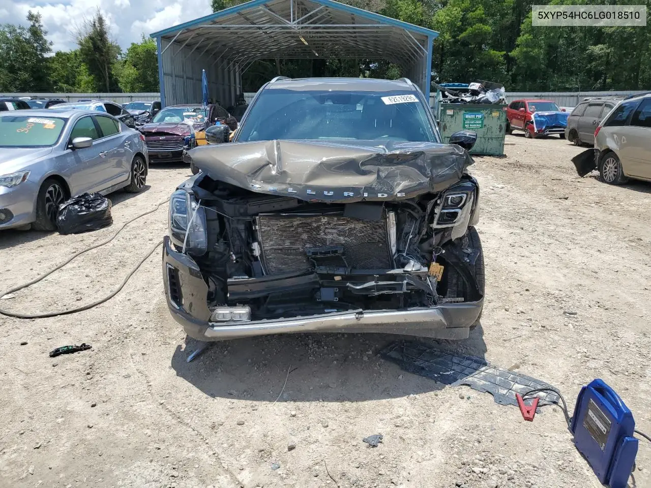 2020 Kia Telluride Sx VIN: 5XYP54HC6LG018510 Lot: 62819295