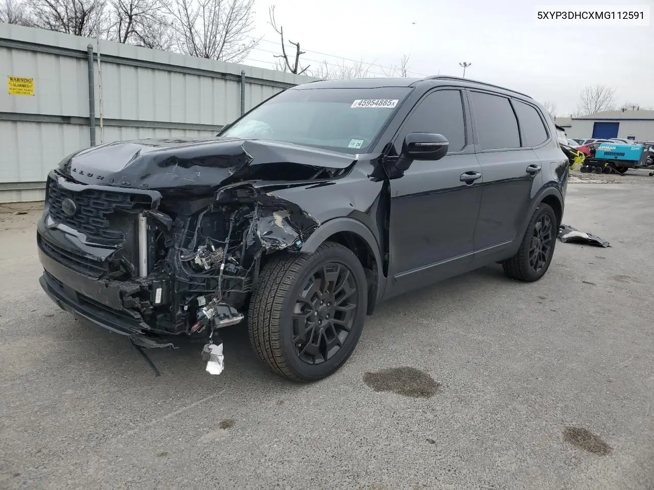 2021 Kia Telluride Ex VIN: 5XYP3DHCXMG112591 Lot: 45954885