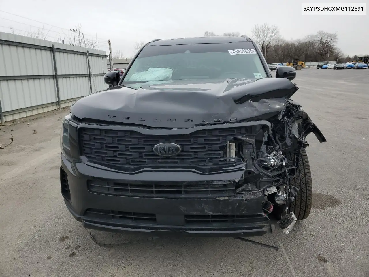 2021 Kia Telluride Ex VIN: 5XYP3DHCXMG112591 Lot: 45954885