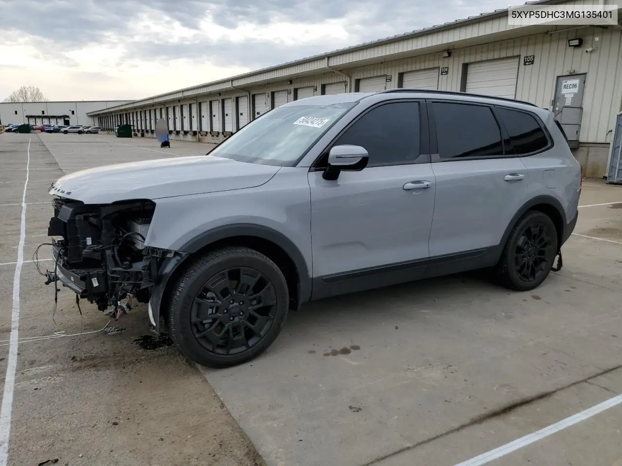 2021 Kia Telluride Sx VIN: 5XYP5DHC3MG135401 Lot: 50424275