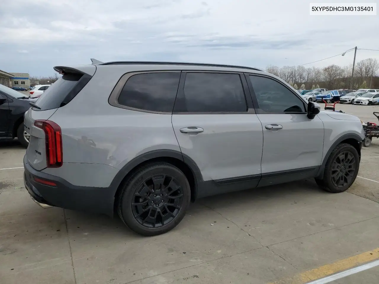 2021 Kia Telluride Sx VIN: 5XYP5DHC3MG135401 Lot: 50424275