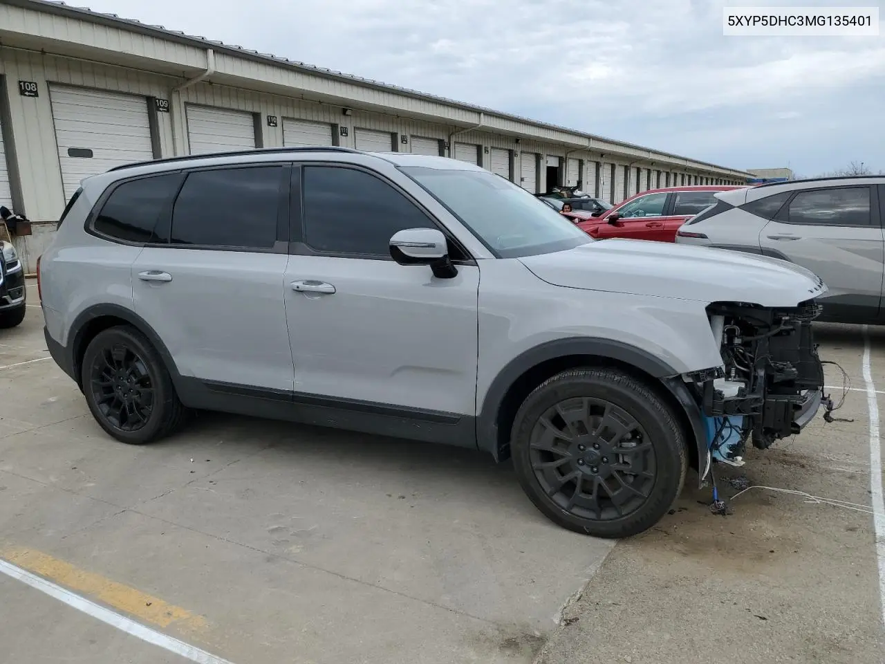 2021 Kia Telluride Sx VIN: 5XYP5DHC3MG135401 Lot: 50424275