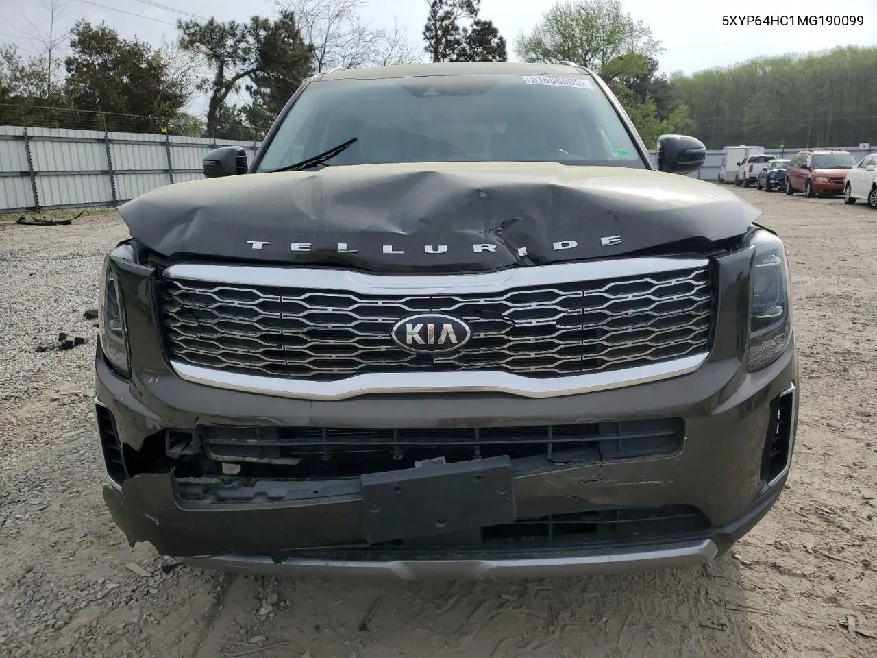 2021 Kia Telluride S VIN: 5XYP64HC1MG190099 Lot: 51668005