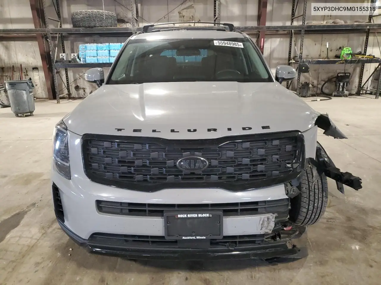 2021 Kia Telluride Ex VIN: 5XYP3DHC9MG155318 Lot: 55948985