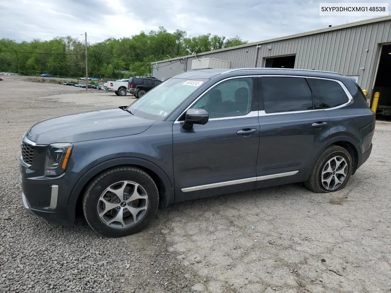 2021 Kia Telluride Ex VIN: 5XYP3DHCXMG148538 Lot: 56045245