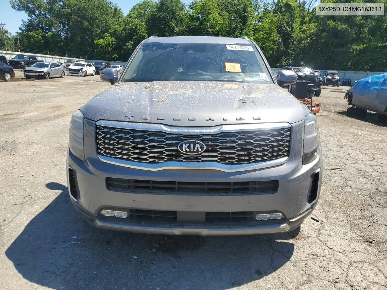 2021 Kia Telluride Sx VIN: 5XYP5DHC4MG163613 Lot: 56233635