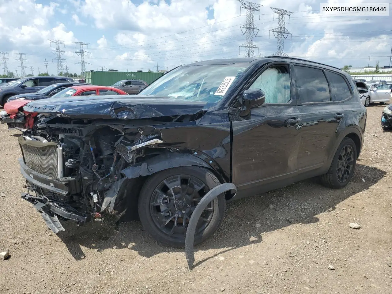 2021 Kia Telluride Sx VIN: 5XYP5DHC5MG186446 Lot: 62232505