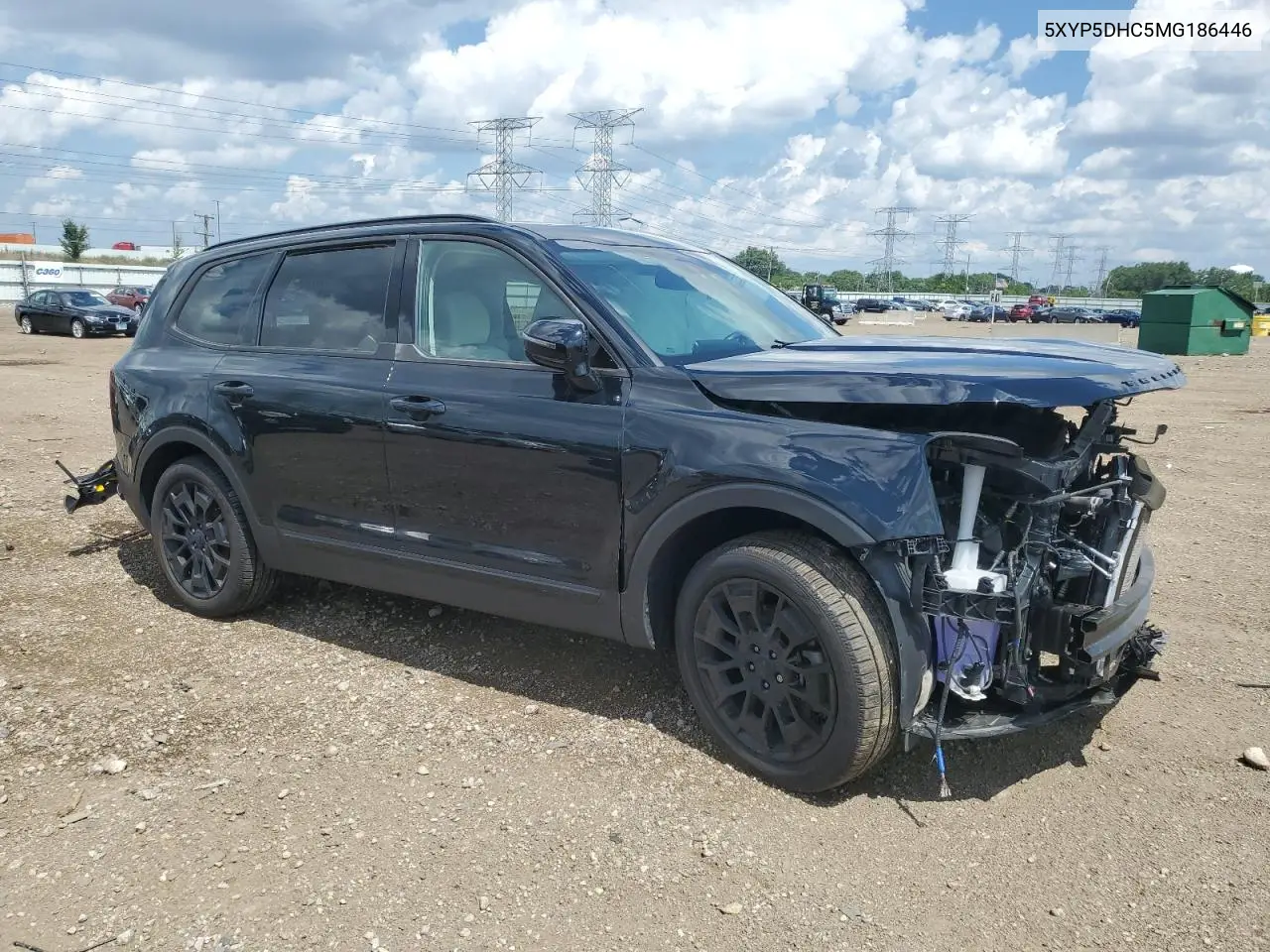 2021 Kia Telluride Sx VIN: 5XYP5DHC5MG186446 Lot: 62232505