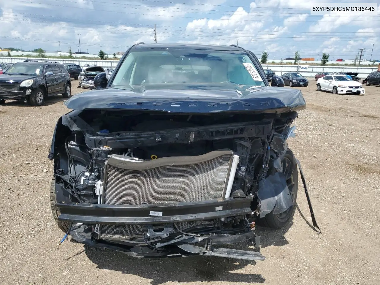 2021 Kia Telluride Sx VIN: 5XYP5DHC5MG186446 Lot: 62232505