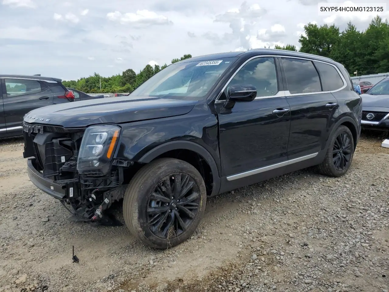 2021 Kia Telluride Sx VIN: 5XYP54HC0MG123125 Lot: 62345355