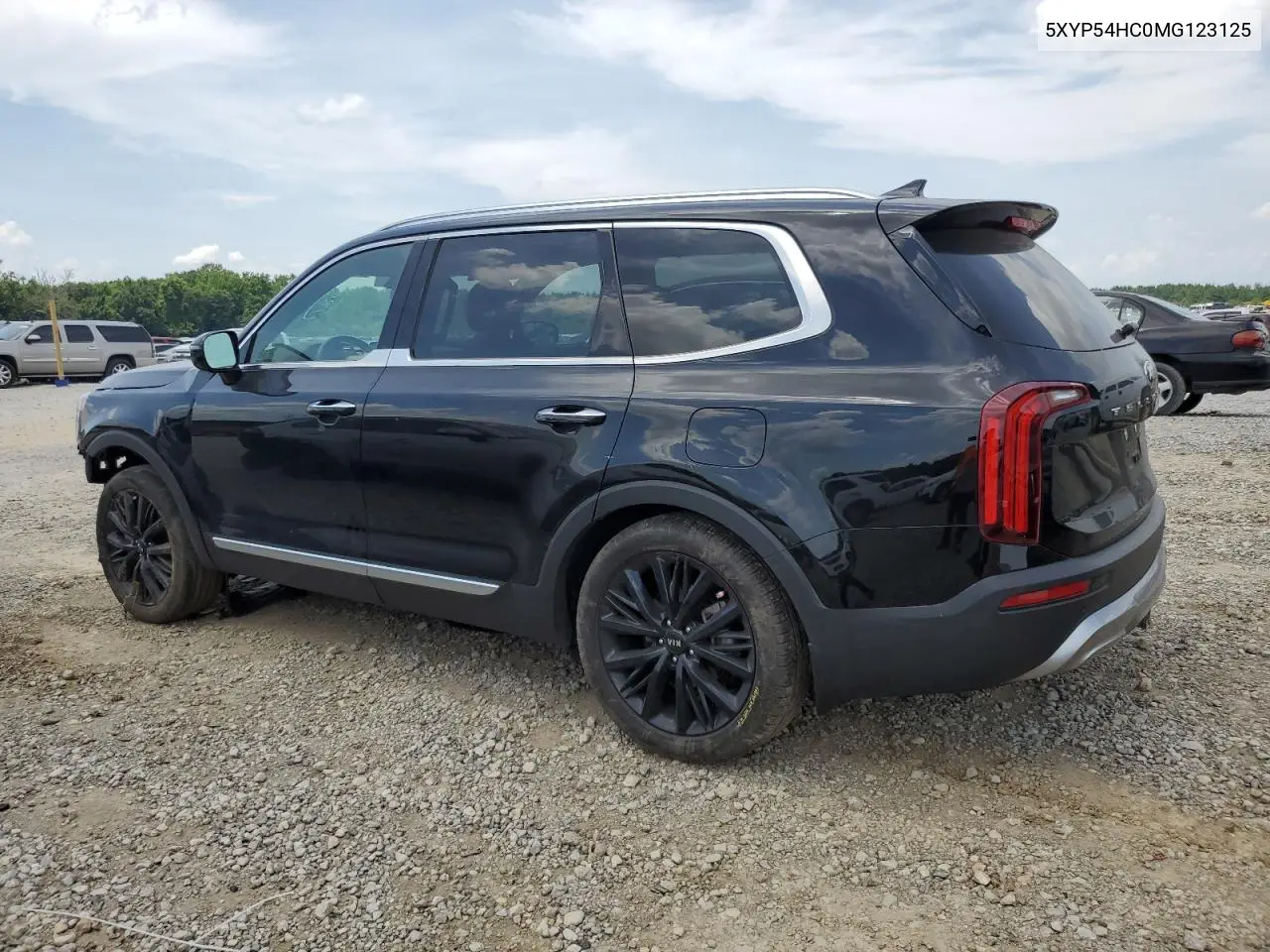 2021 Kia Telluride Sx VIN: 5XYP54HC0MG123125 Lot: 62345355