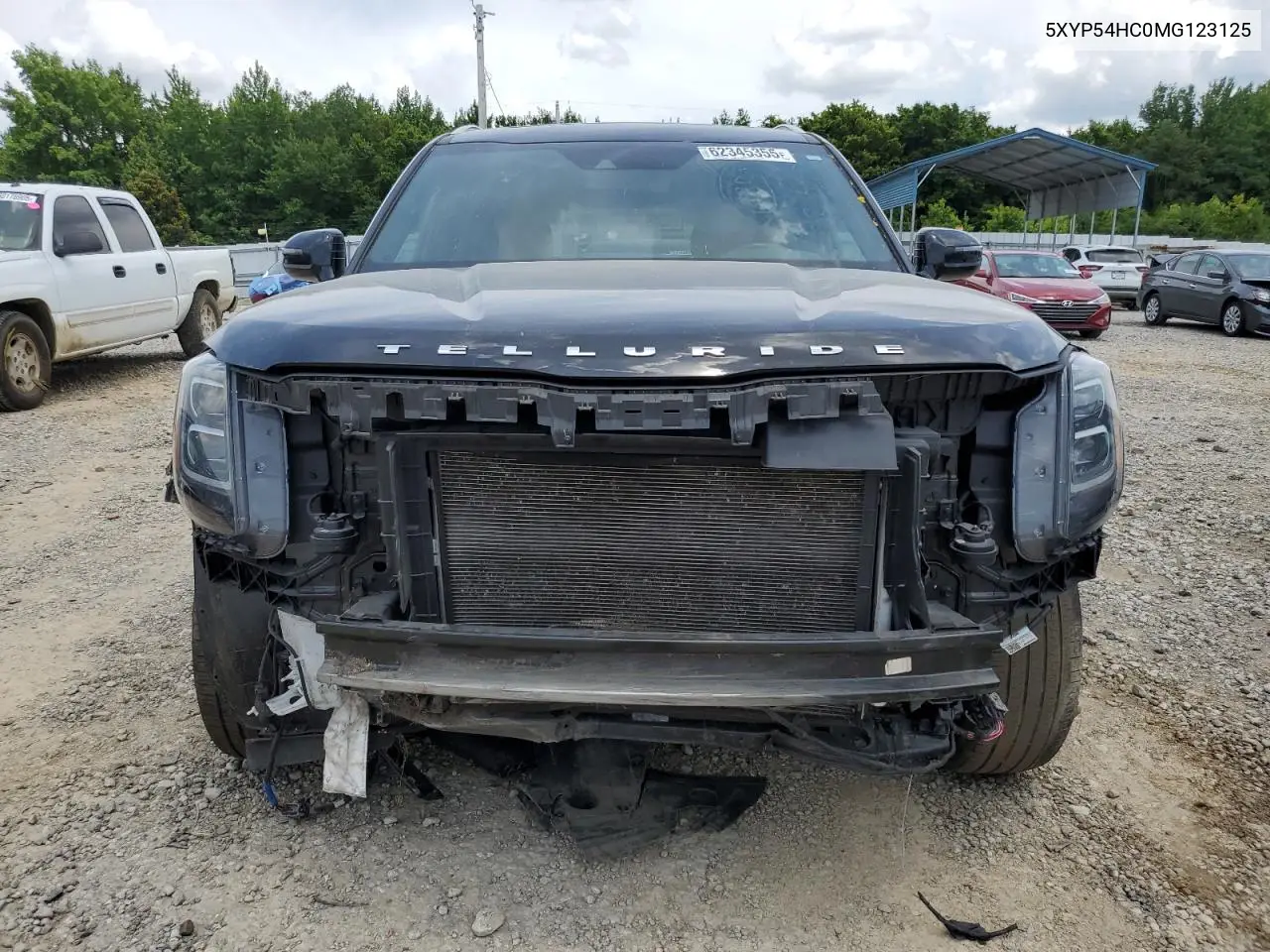 2021 Kia Telluride Sx VIN: 5XYP54HC0MG123125 Lot: 62345355