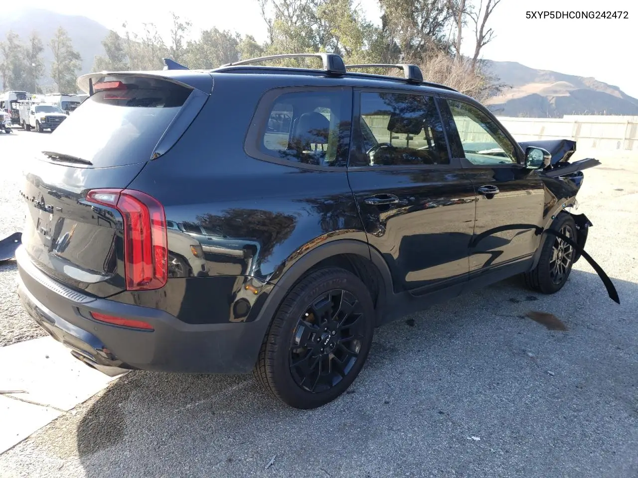 2022 Kia Telluride Sx VIN: 5XYP5DHC0NG242472 Lot: 43958185