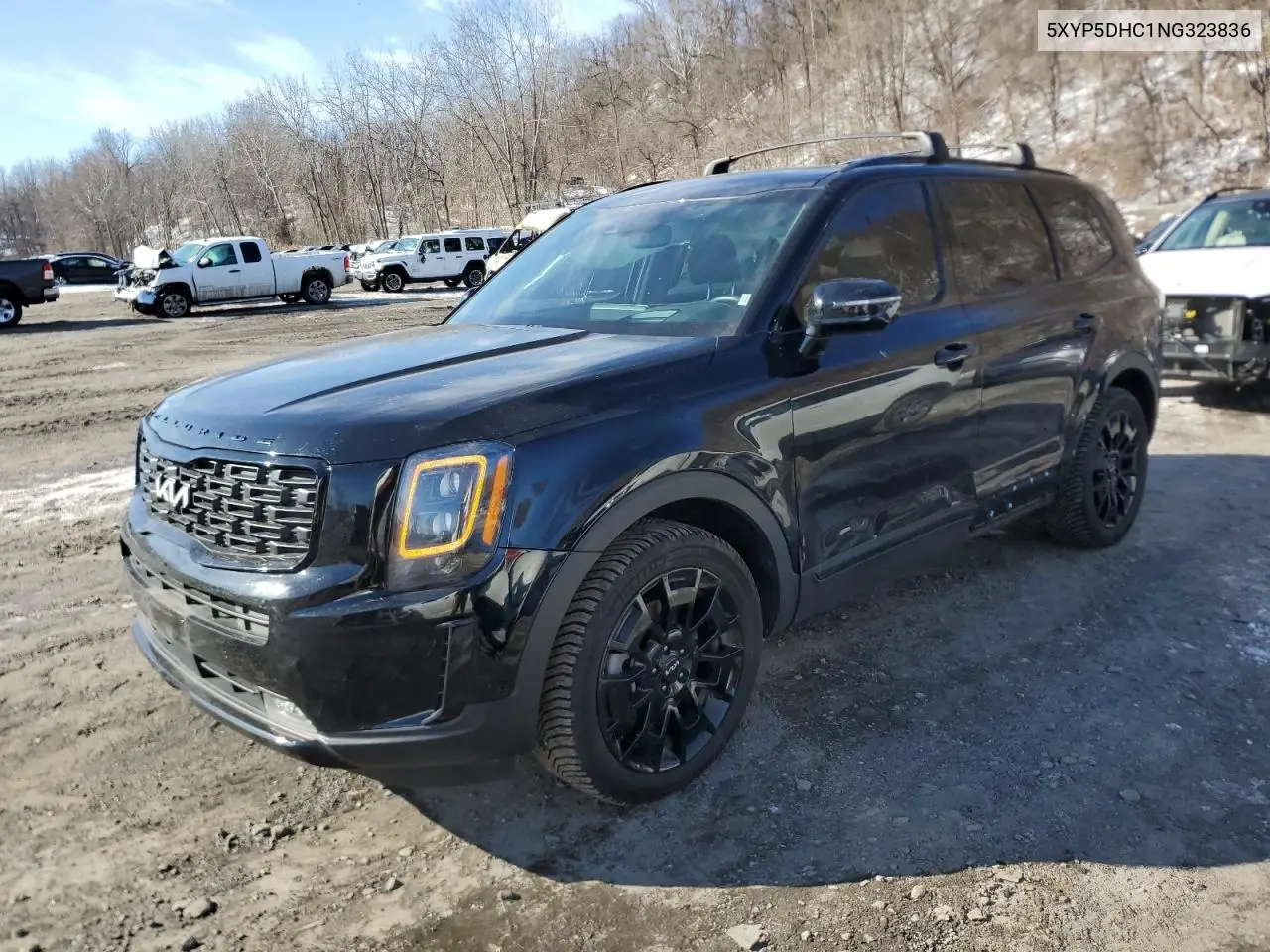 2022 Kia Telluride Sx VIN: 5XYP5DHC1NG323836 Lot: 45961675