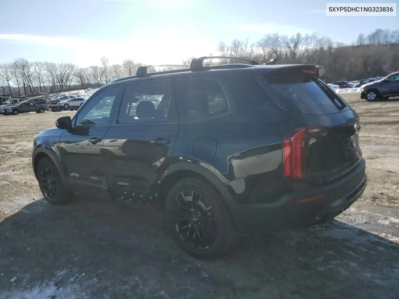 2022 Kia Telluride Sx VIN: 5XYP5DHC1NG323836 Lot: 45961675