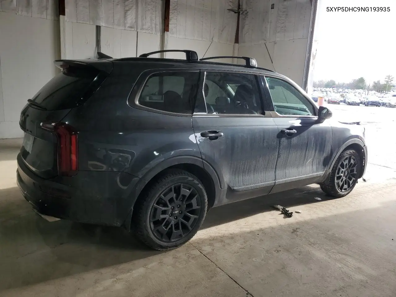 2022 Kia Telluride Sx VIN: 5XYP5DHC9NG193935 Lot: 46589285