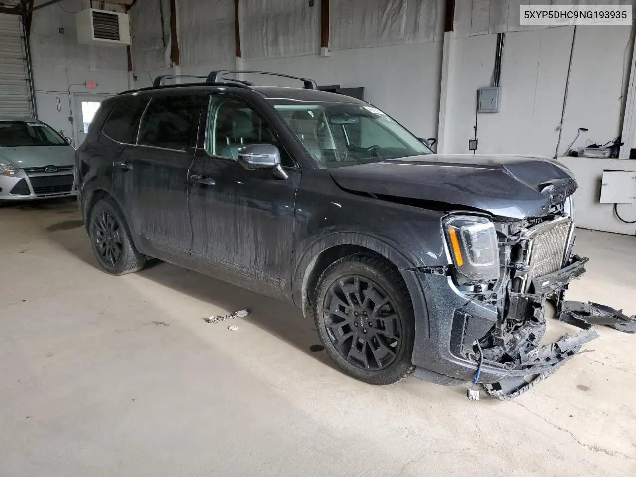 2022 Kia Telluride Sx VIN: 5XYP5DHC9NG193935 Lot: 46589285