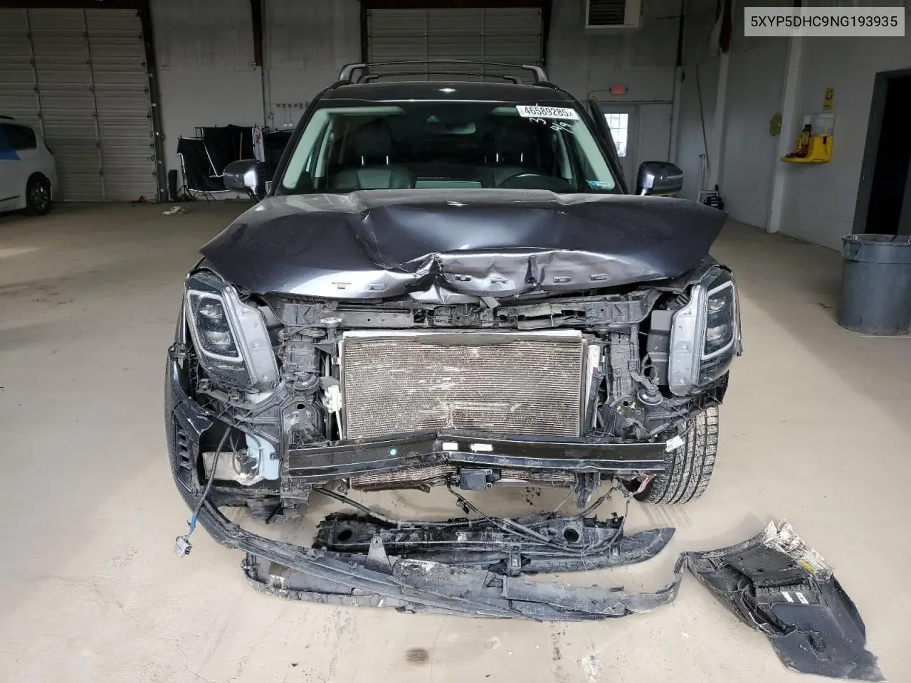 2022 Kia Telluride Sx VIN: 5XYP5DHC9NG193935 Lot: 46589285