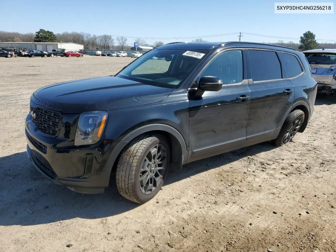2022 Kia Telluride Ex VIN: 5XYP3DHC4NG256218 Lot: 48369785