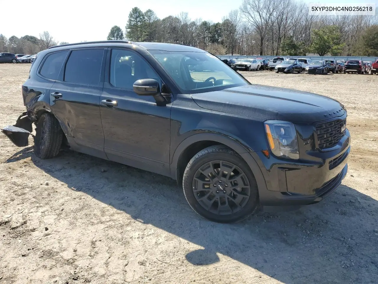 2022 Kia Telluride Ex VIN: 5XYP3DHC4NG256218 Lot: 48369785