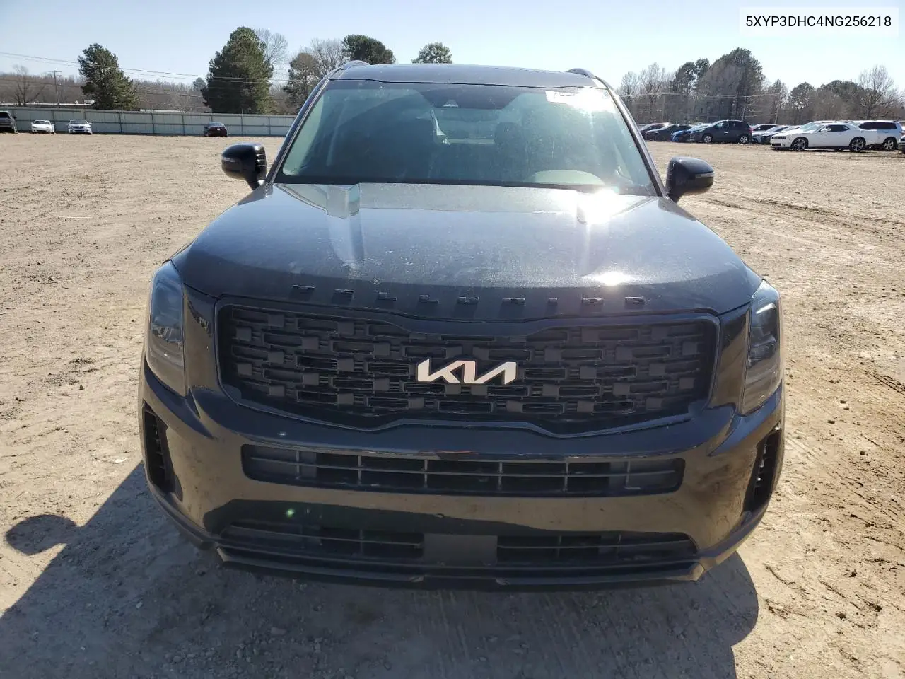 2022 Kia Telluride Ex VIN: 5XYP3DHC4NG256218 Lot: 48369785