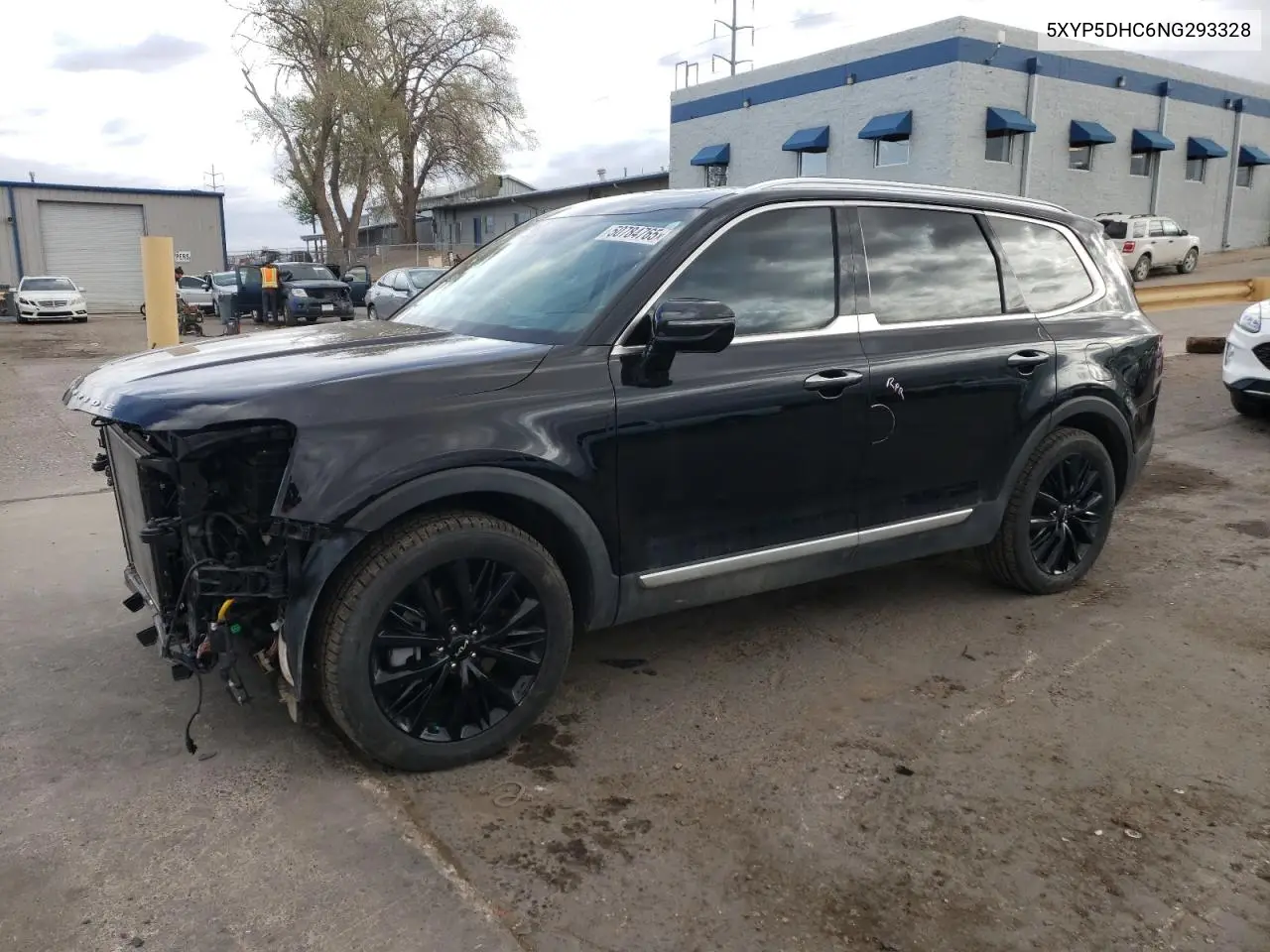 2022 Kia Telluride Sx VIN: 5XYP5DHC6NG293328 Lot: 50784765