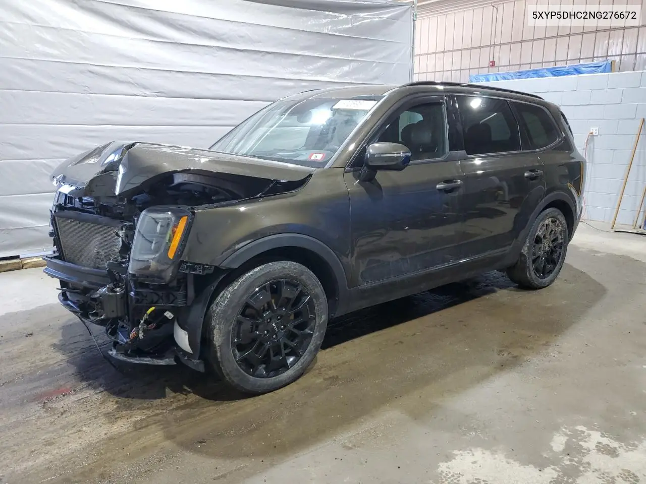 2022 Kia Telluride Sx VIN: 5XYP5DHC2NG276672 Lot: 53269885