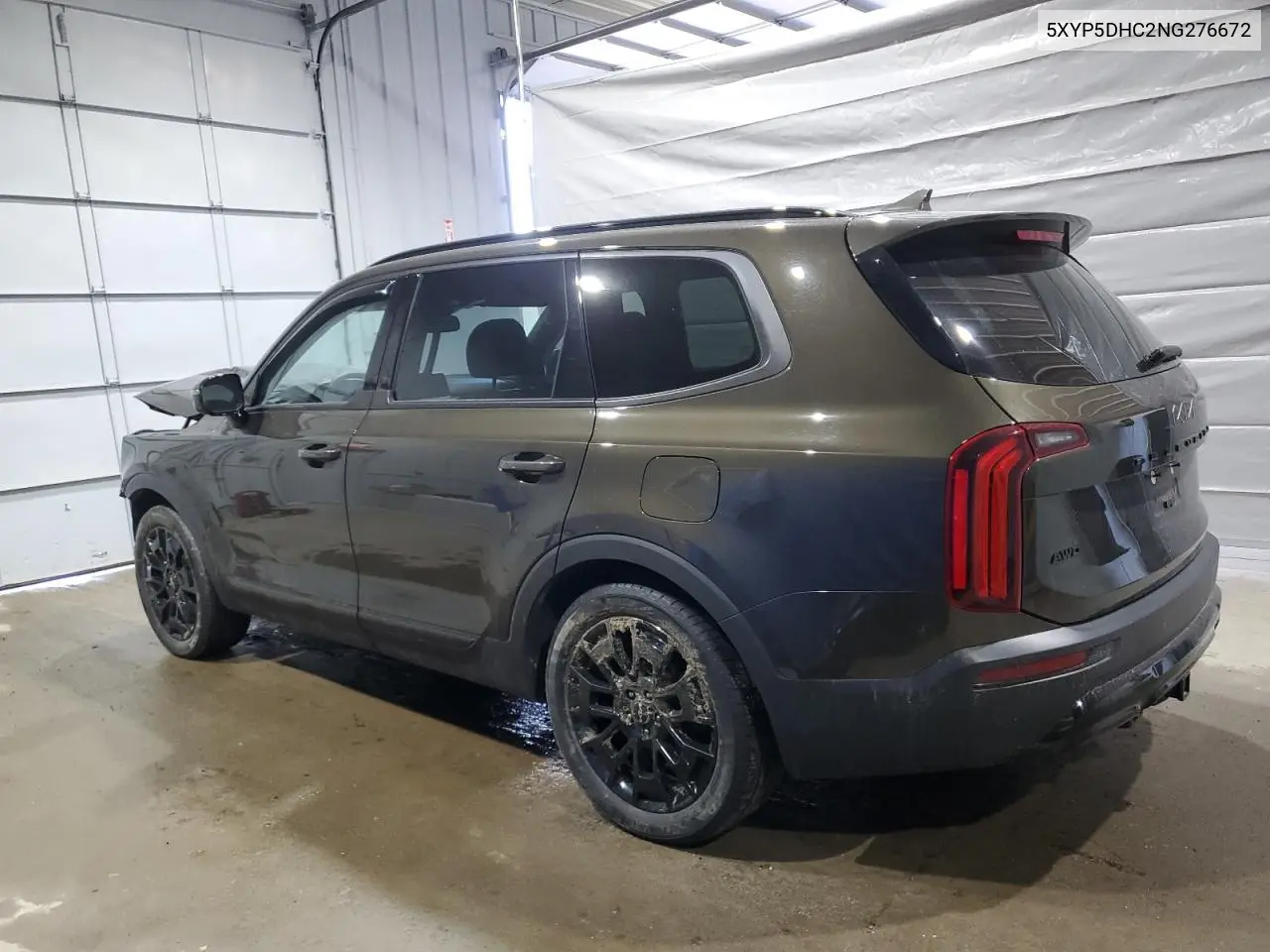 2022 Kia Telluride Sx VIN: 5XYP5DHC2NG276672 Lot: 53269885