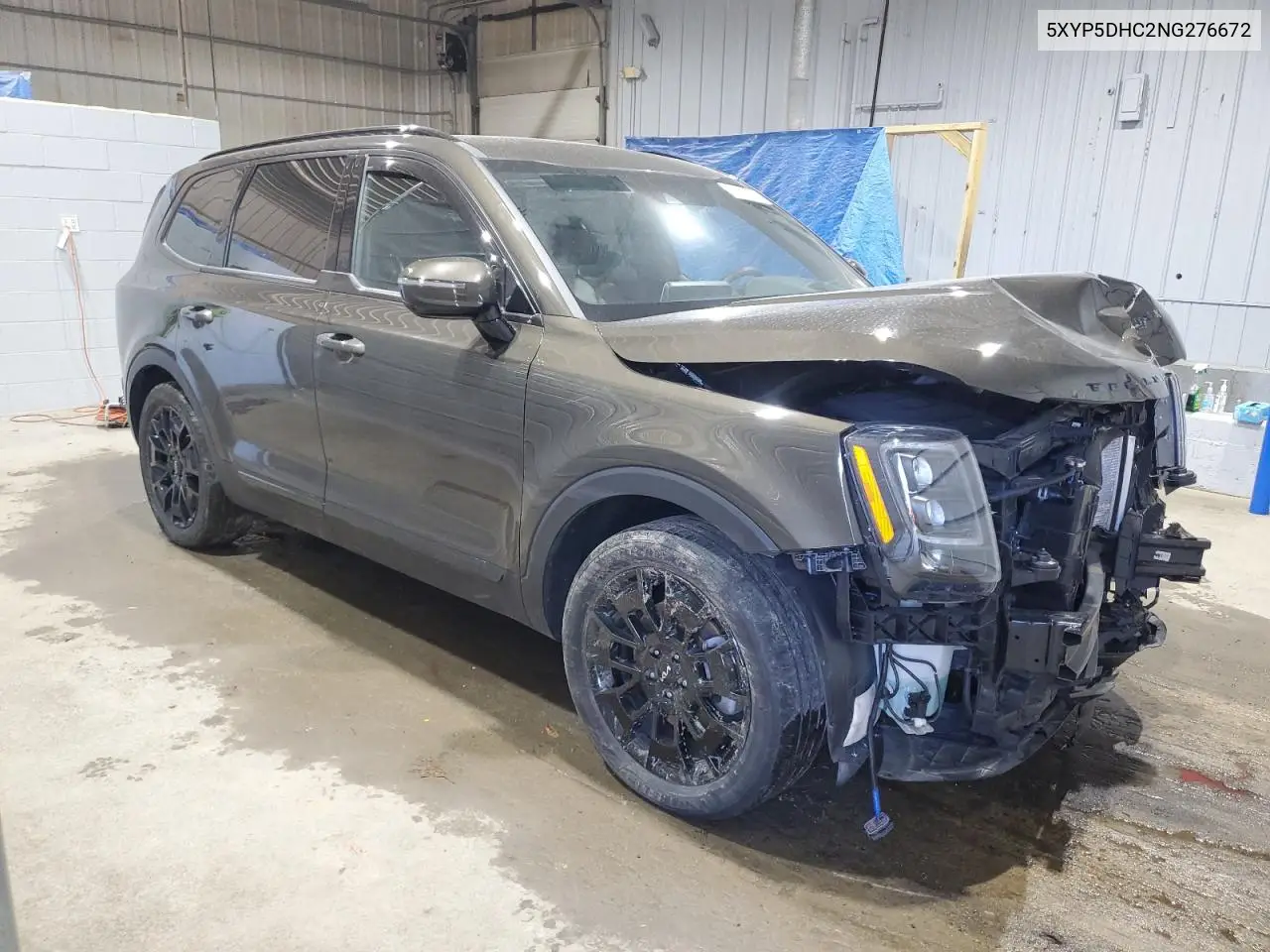 2022 Kia Telluride Sx VIN: 5XYP5DHC2NG276672 Lot: 53269885