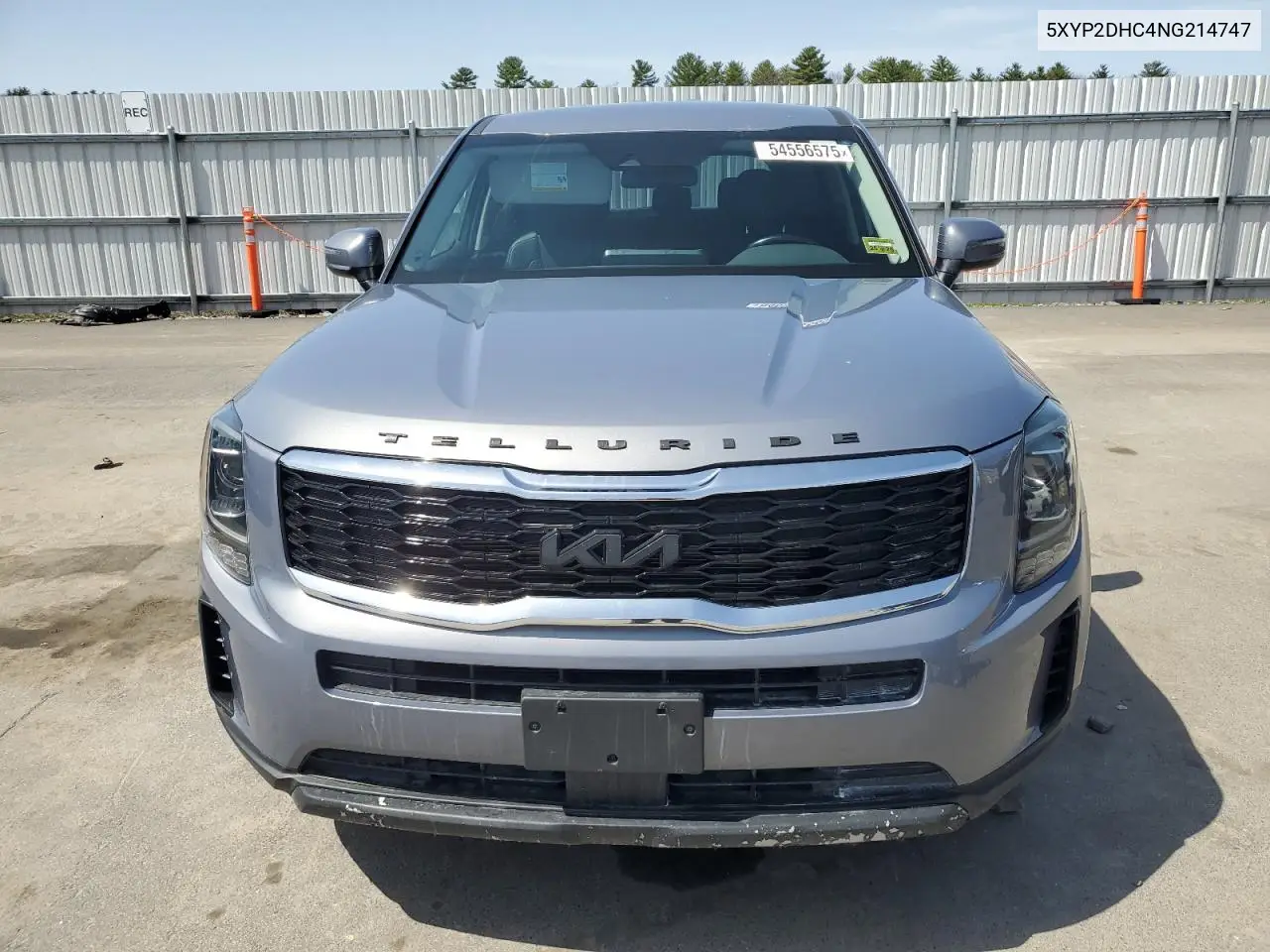 2022 Kia Telluride Lx VIN: 5XYP2DHC4NG214747 Lot: 54556575