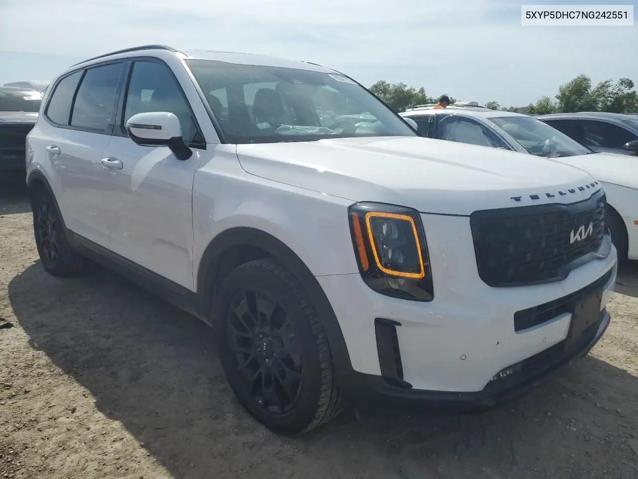 2022 Kia Telluride Sx VIN: 5XYP5DHC7NG242551 Lot: 56641575