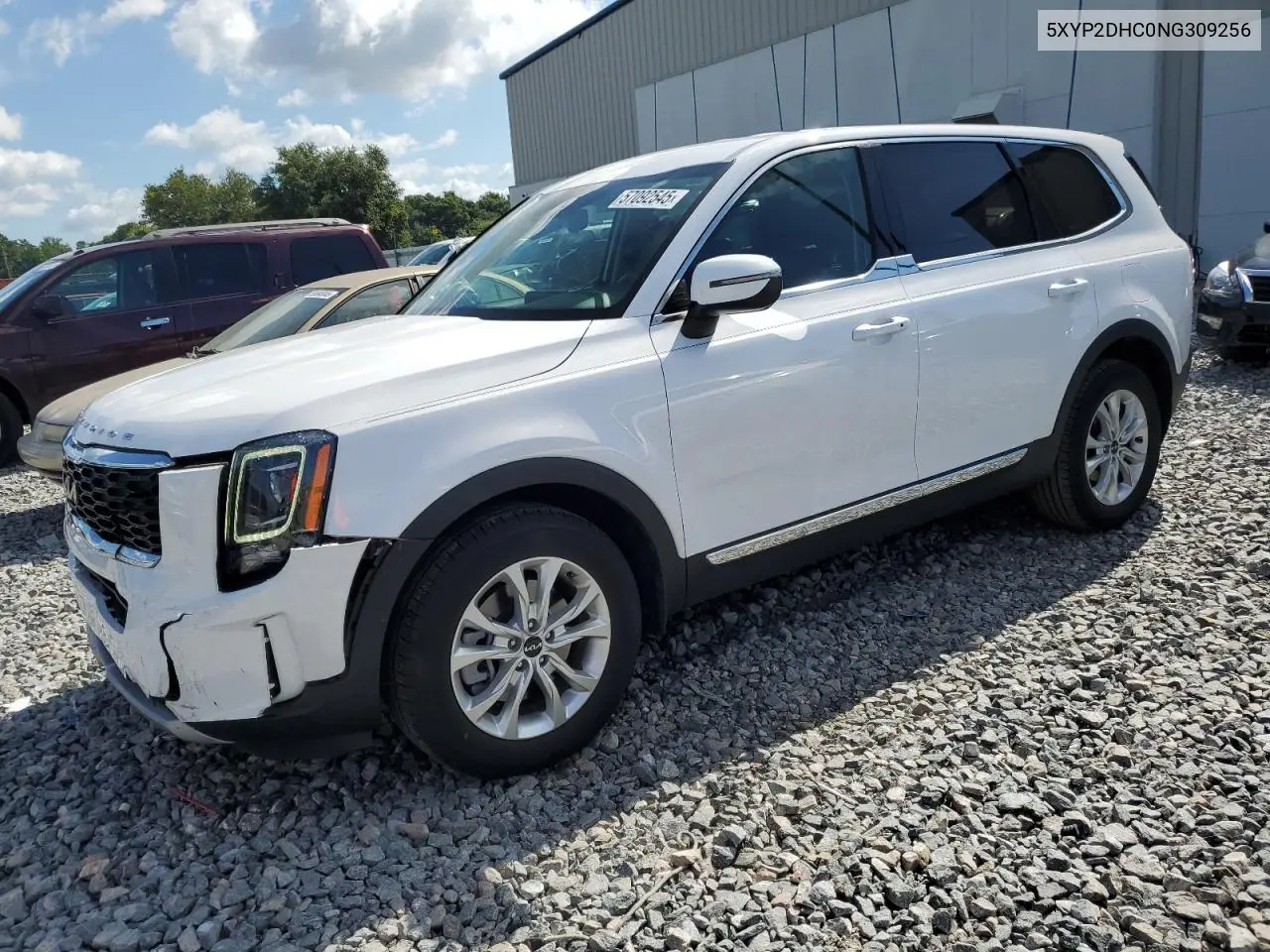2022 Kia Telluride Lx VIN: 5XYP2DHC0NG309256 Lot: 57092545