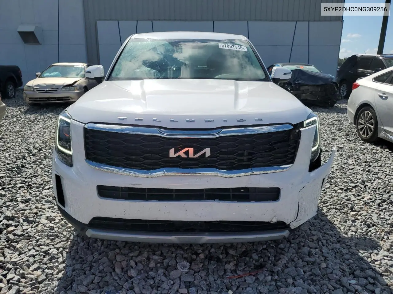 2022 Kia Telluride Lx VIN: 5XYP2DHC0NG309256 Lot: 57092545