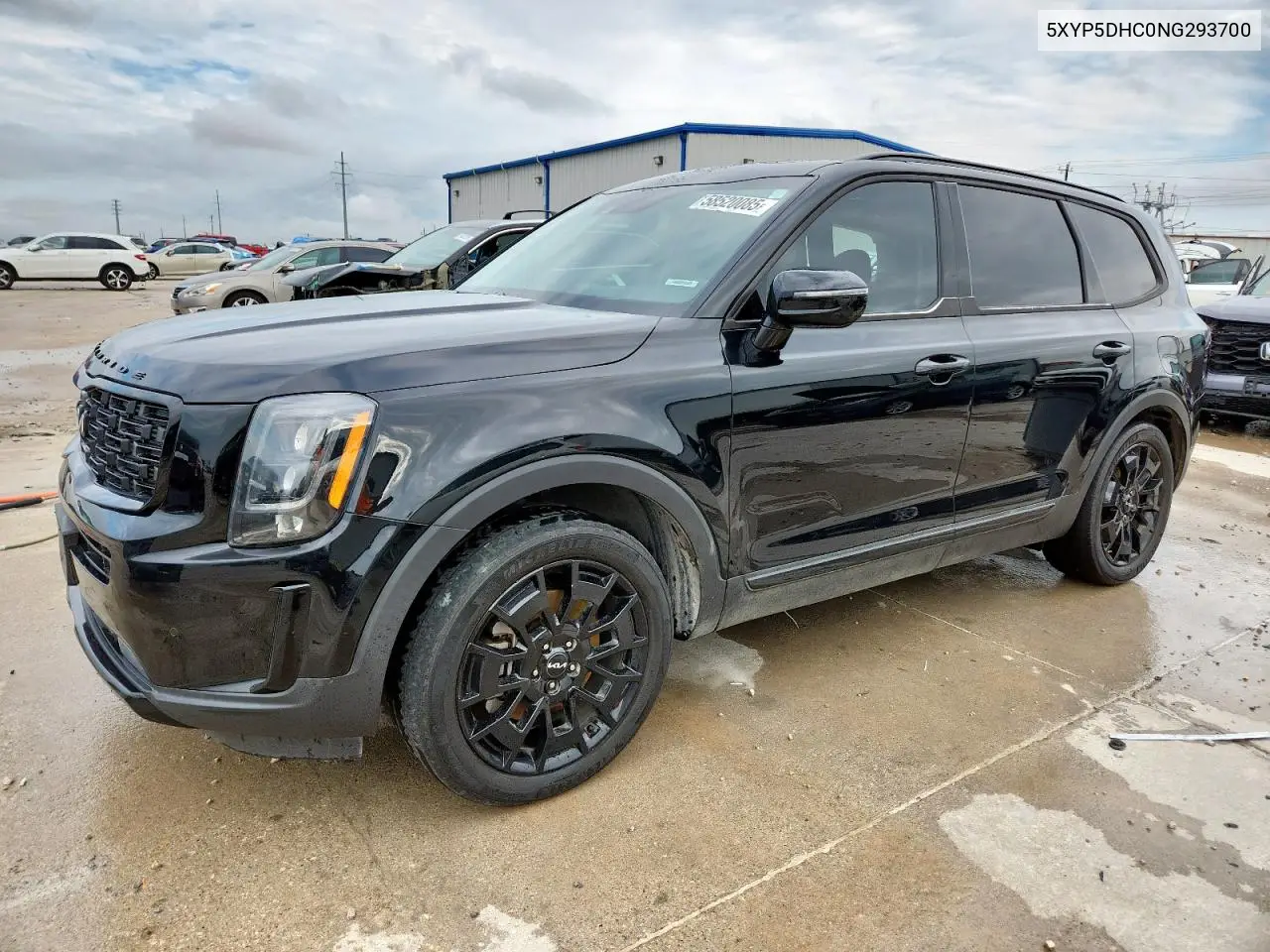 2022 Kia Telluride Sx VIN: 5XYP5DHC0NG293700 Lot: 58520085