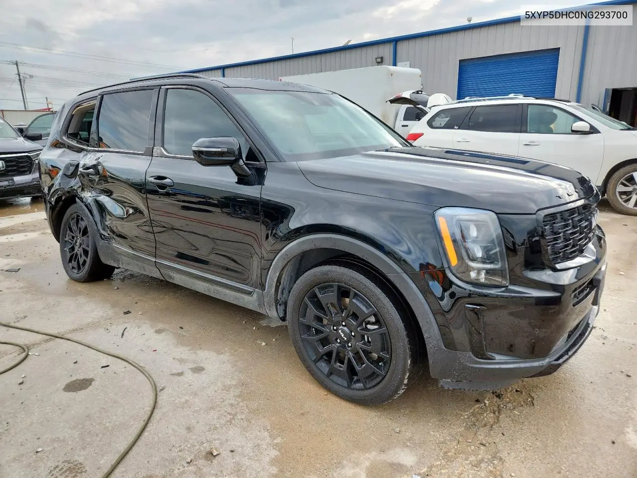 2022 Kia Telluride Sx VIN: 5XYP5DHC0NG293700 Lot: 58520085