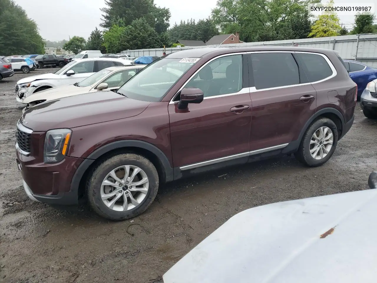 2022 Kia Telluride Lx VIN: 5XYP2DHC8NG198987 Lot: 61134265