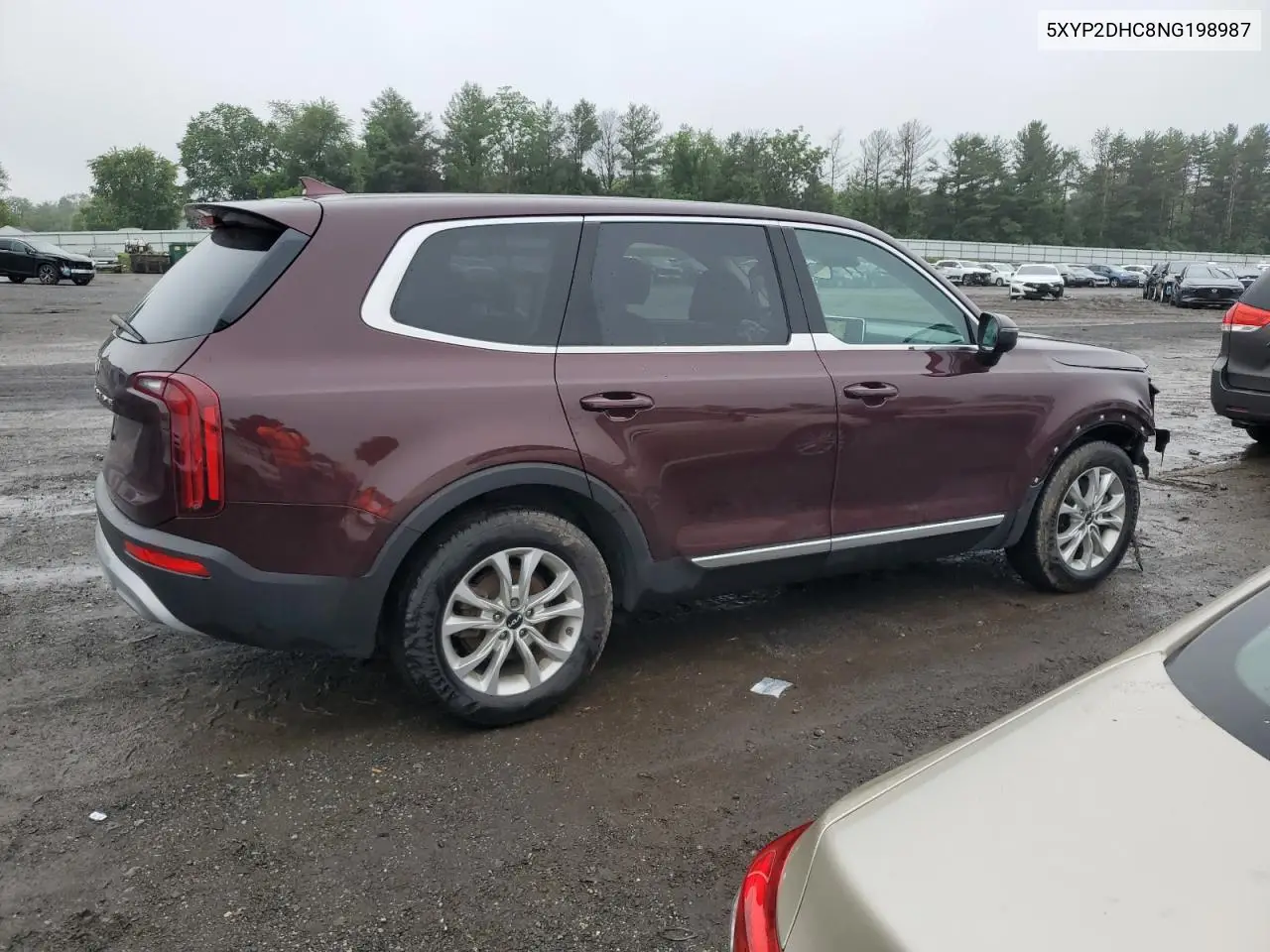 2022 Kia Telluride Lx VIN: 5XYP2DHC8NG198987 Lot: 61134265