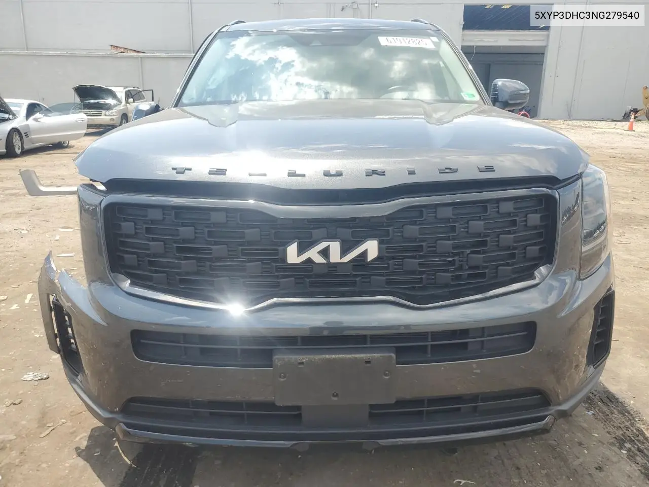 2022 Kia Telluride Ex VIN: 5XYP3DHC3NG279540 Lot: 61912825