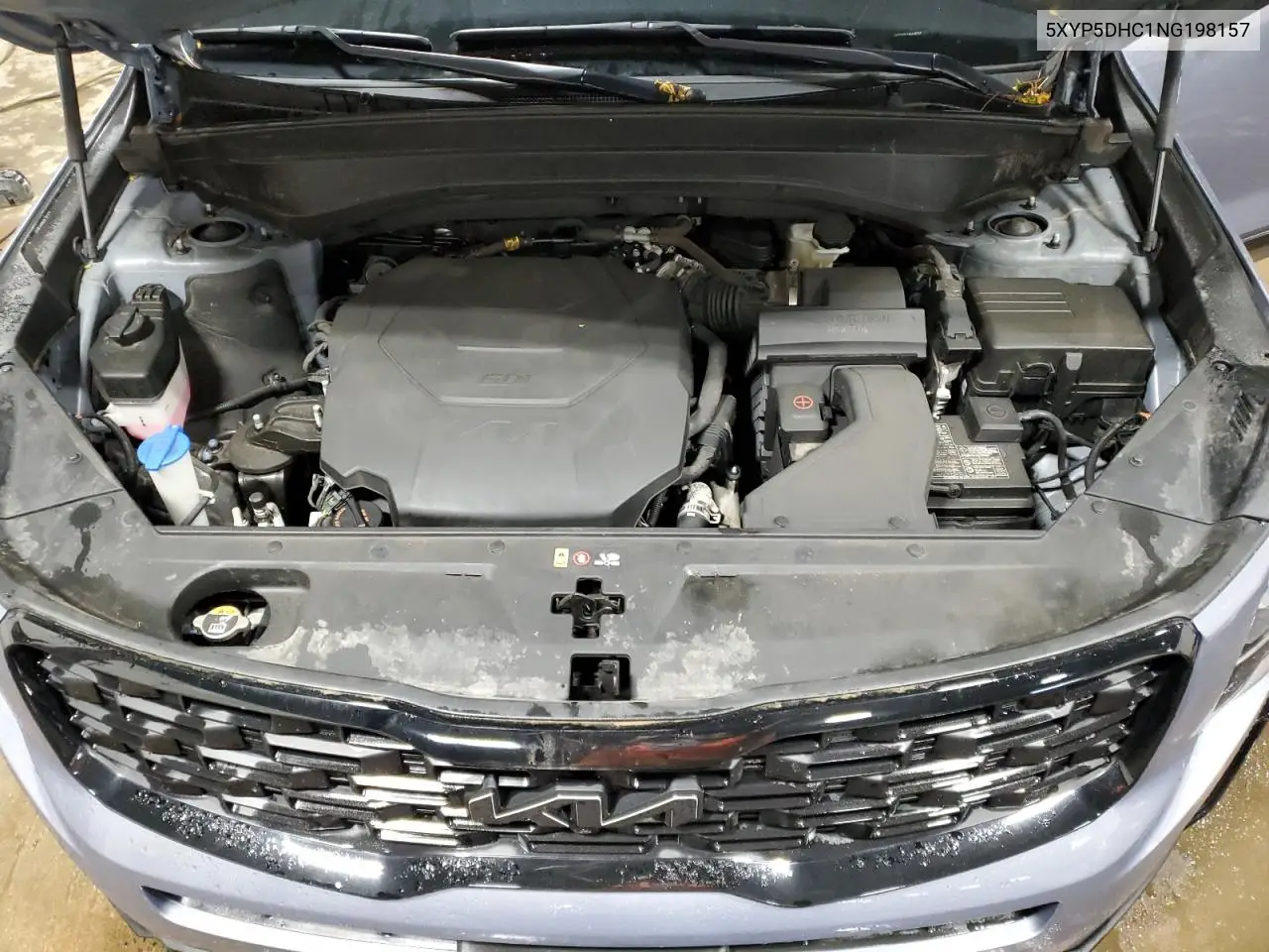 2022 Kia Telluride Sx VIN: 5XYP5DHC1NG198157 Lot: 62255655
