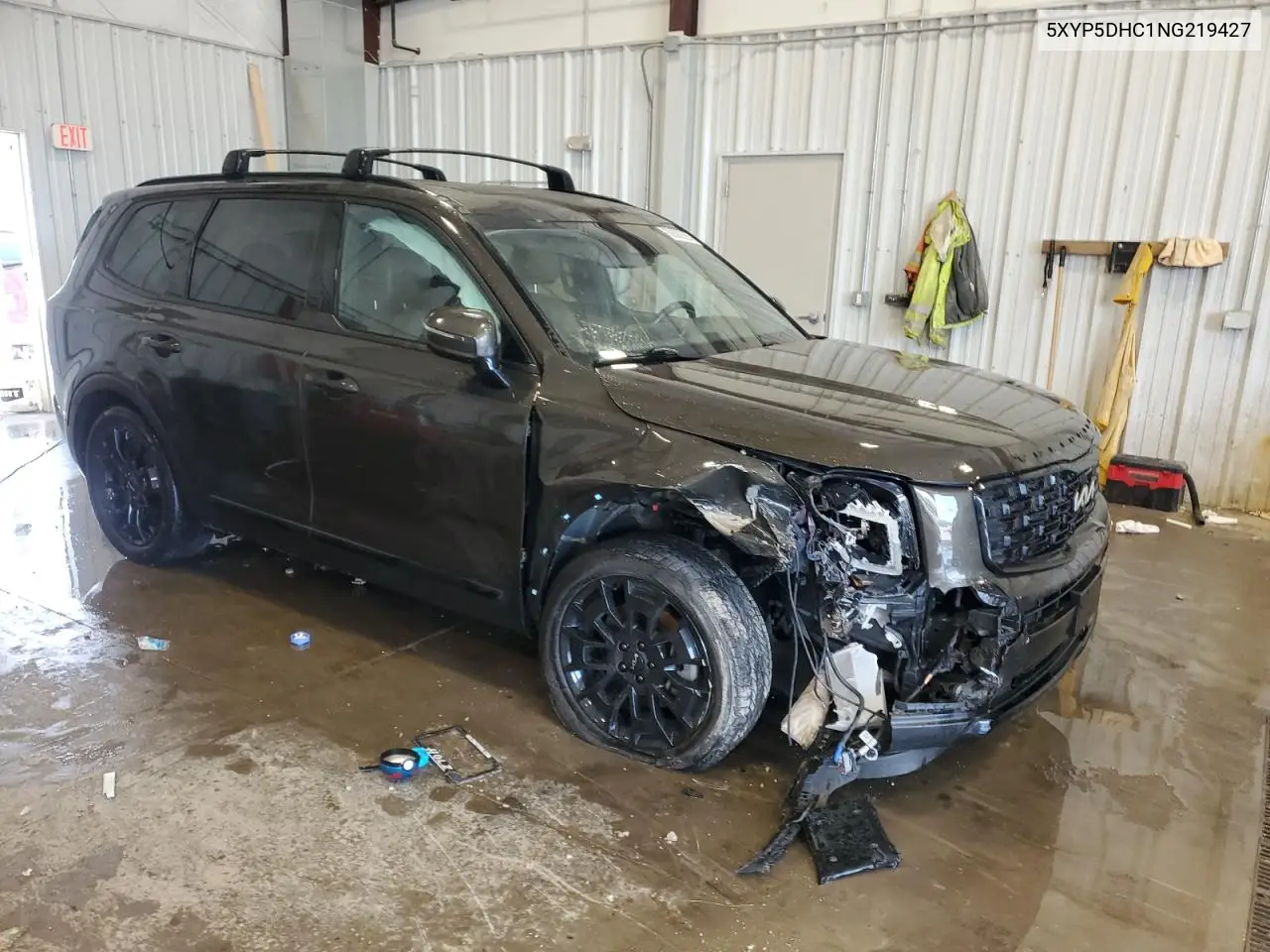 2022 Kia Telluride Sx VIN: 5XYP5DHC1NG219427 Lot: 62302595