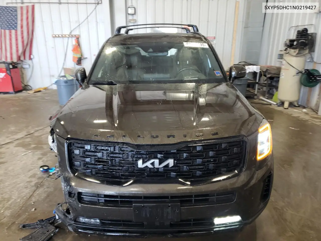 2022 Kia Telluride Sx VIN: 5XYP5DHC1NG219427 Lot: 62302595