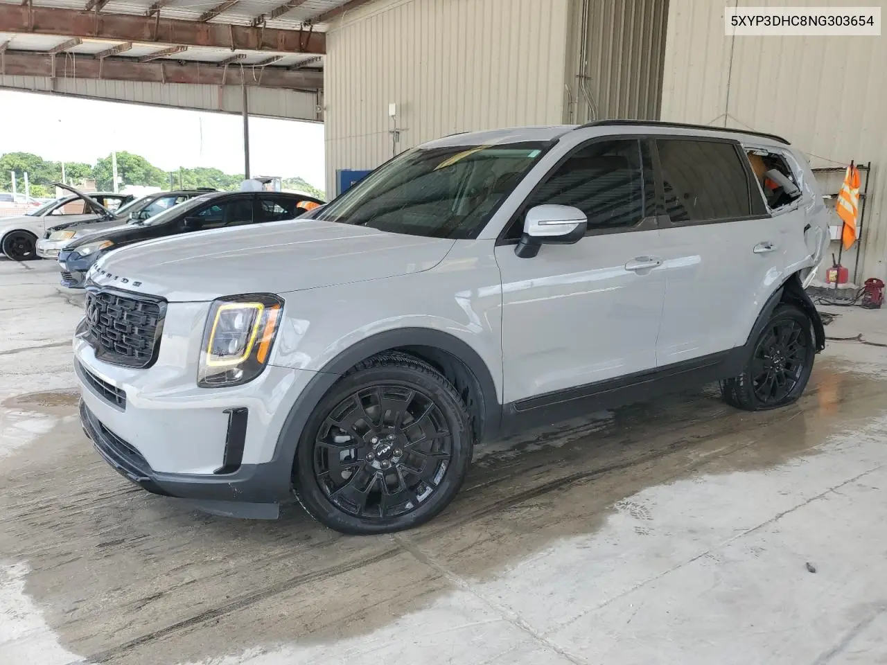 2022 Kia Telluride Ex VIN: 5XYP3DHC8NG303654 Lot: 62464765