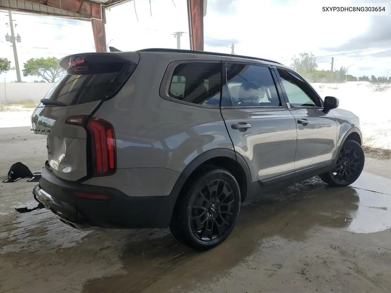 2022 Kia Telluride Ex VIN: 5XYP3DHC8NG303654 Lot: 62464765