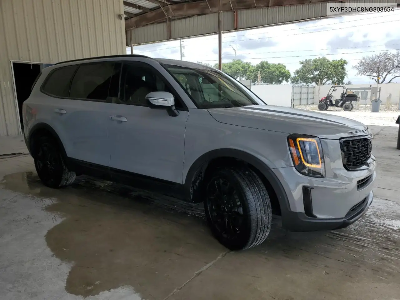 2022 Kia Telluride Ex VIN: 5XYP3DHC8NG303654 Lot: 62464765