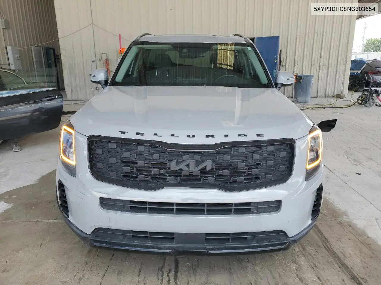 2022 Kia Telluride Ex VIN: 5XYP3DHC8NG303654 Lot: 62464765