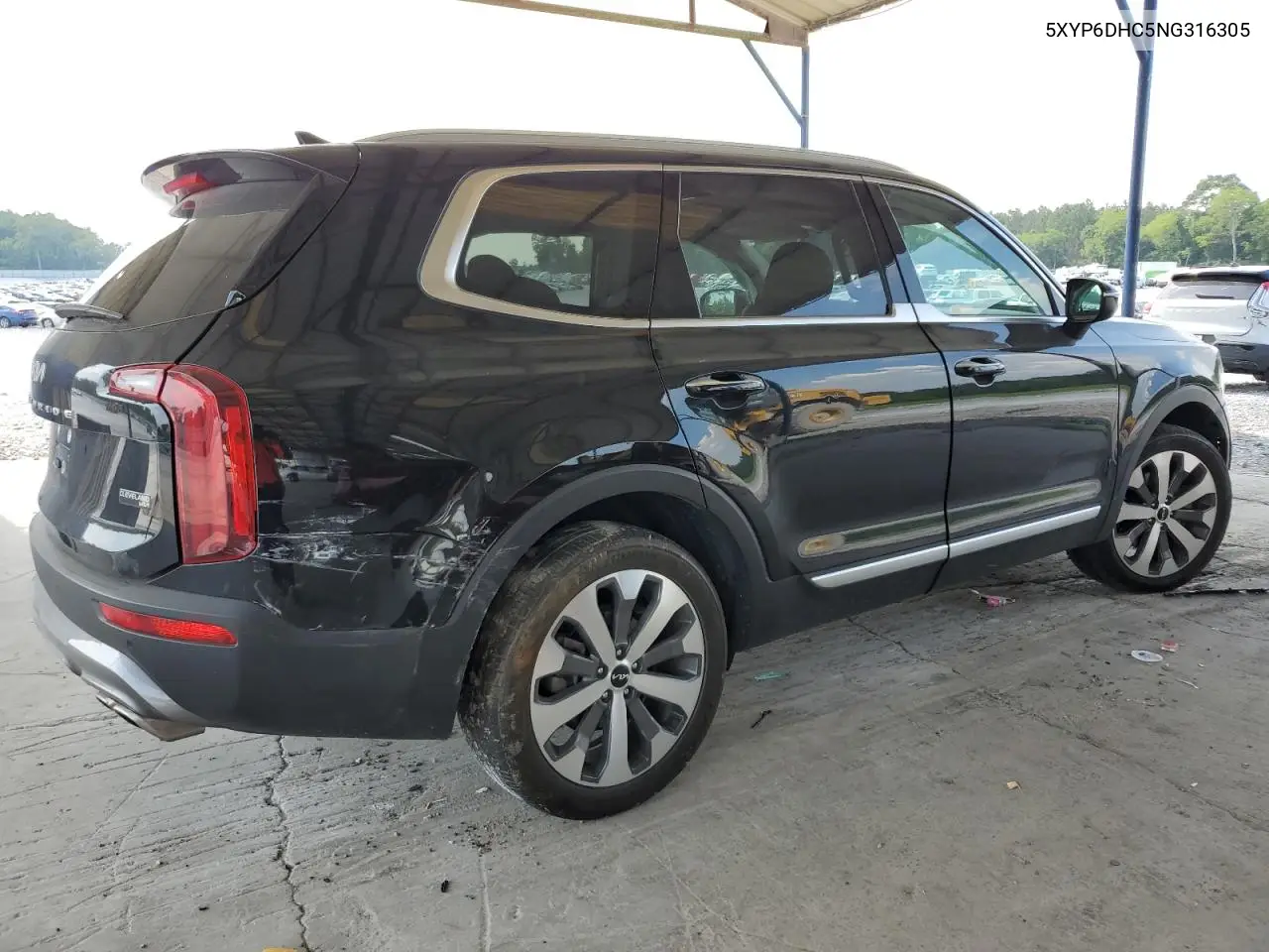 2022 Kia Telluride S VIN: 5XYP6DHC5NG316305 Lot: 62499785