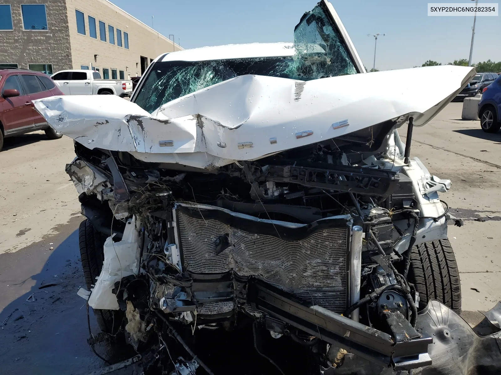 2022 Kia Telluride Lx VIN: 5XYP2DHC6NG282354 Lot: 65493384