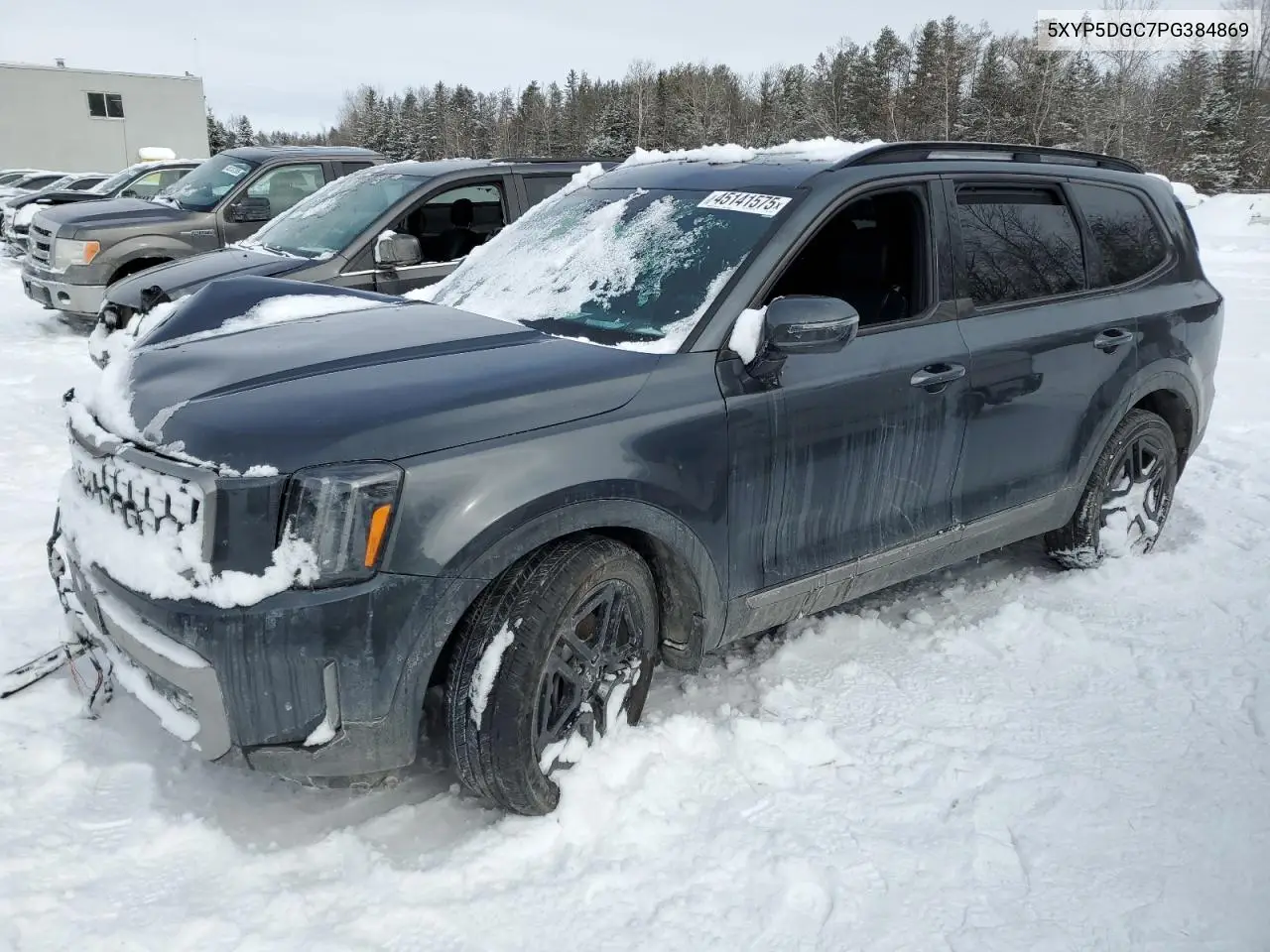 2023 Kia Telluride Sx VIN: 5XYP5DGC7PG384869 Lot: 45141575